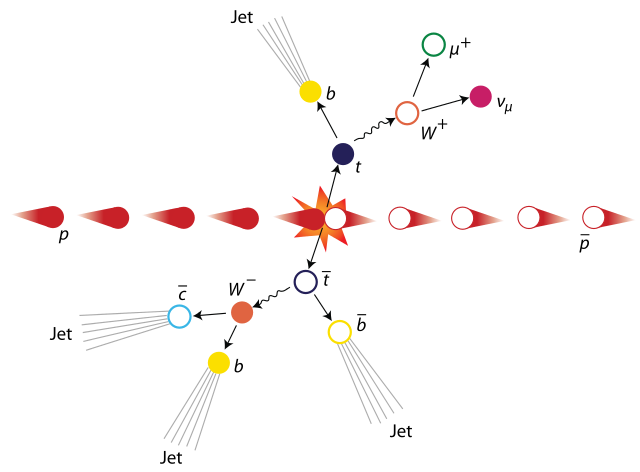 Top/Antitop quark event. Source: https://commons.wikimedia.org/wiki/File:Top_antitop_quark_event.svg