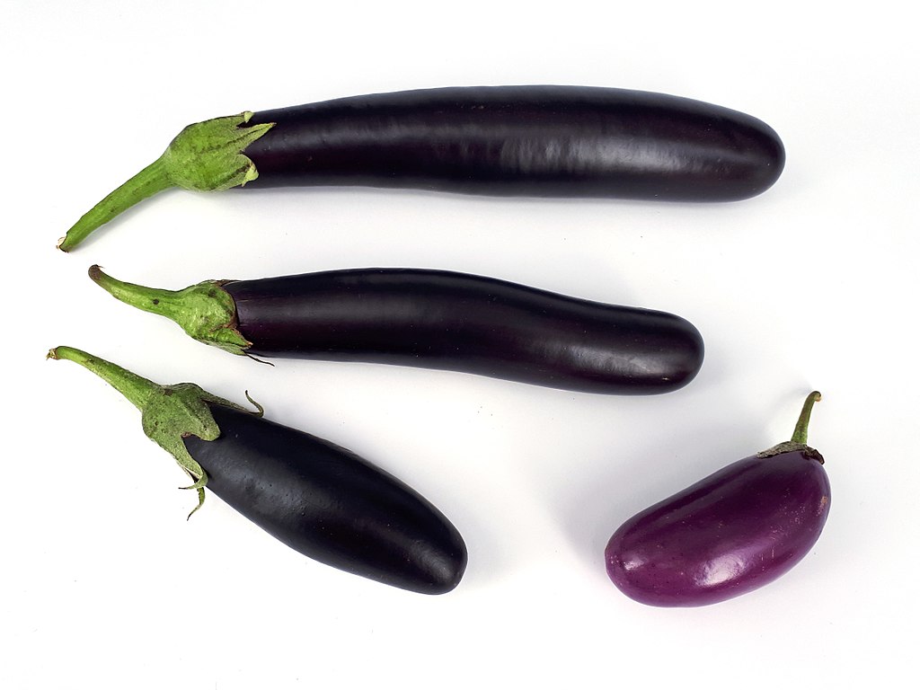 Eggplants © by Fructibus - https://commons.wikimedia.org/wiki/File:Four_eggplants_2017_A.jpg