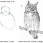 Meme "How To Draw an Owl"