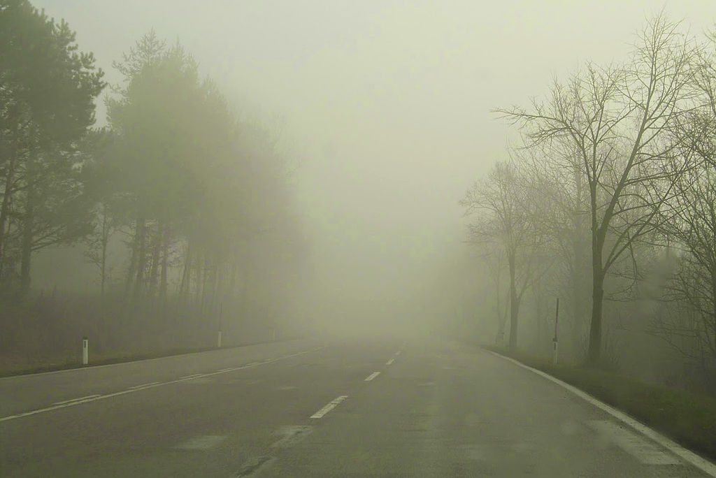 Fog near Baden, Austria; photograph by https://commons.wikimedia.org/wiki/User:Sb2s3